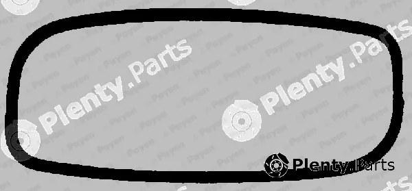 Payen JN013 — Gasket, cylinder head cover