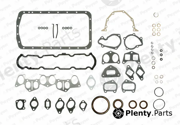 Payen GJ720 — Full Gasket Kit, engine