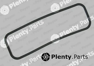 Payen JM315 — Gasket, cylinder head cover