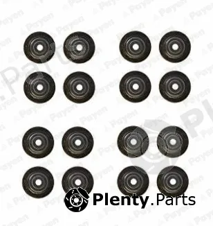 Payen HR5125 — Seal Set, valve stem
