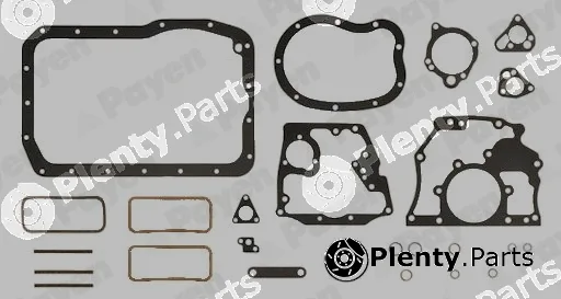 Payen EG411 — Gasket Kit, crankcase