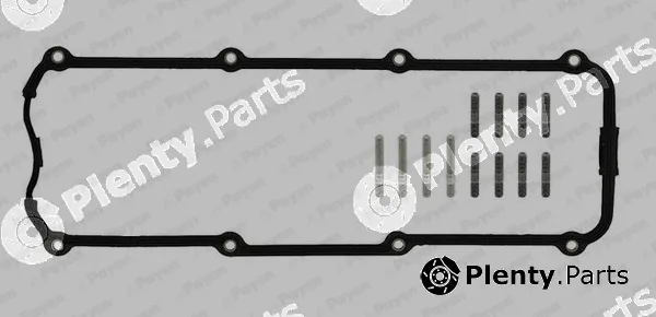 Payen HM5053 — Gasket Set, cylinder head cover