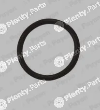 Payen LA5120 — Seal Ring, oil drain plug
