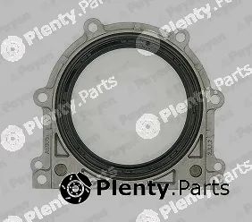 Payen NA5074 — Shaft Seal, crankshaft