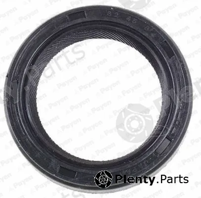 Payen NK117 — Shaft Seal, differential