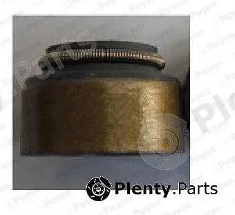 Payen PA136 — Seal Ring, valve stem