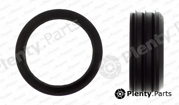 Payen JD6006 — Gasket, intake manifold housing