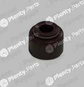 Payen KJ570 — Seal Ring, valve stem