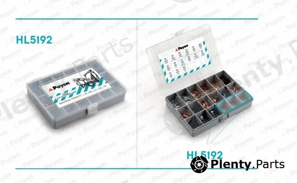 Payen HL5192 — Assortment, oil drain plugs