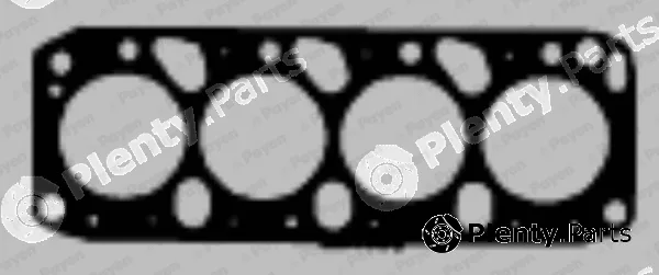 Payen BW030 — Gasket, cylinder head