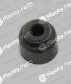 Payen PA971 — Seal Ring, valve stem