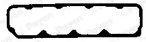 Payen JM5027 — Gasket, cylinder head cover