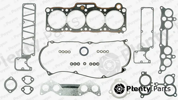 Payen DL320 — Gasket Kit, cylinder head