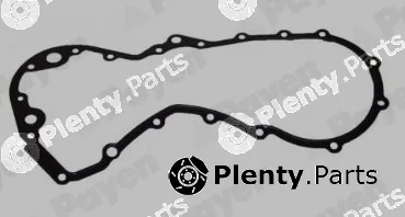 Payen JR5059 — Gasket, timing case cover