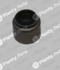 Payen PA5048 — Seal Ring, valve stem