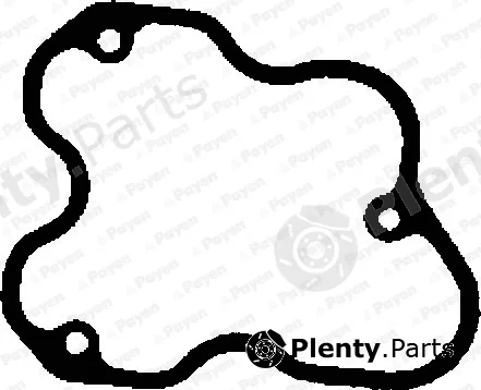 Payen JN346 — Gasket, cylinder head cover
