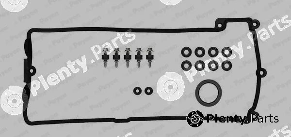 Payen HM5297 — Gasket Set, cylinder head cover