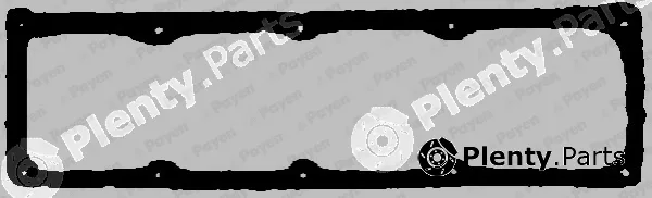 Payen JN724 — Gasket, cylinder head cover