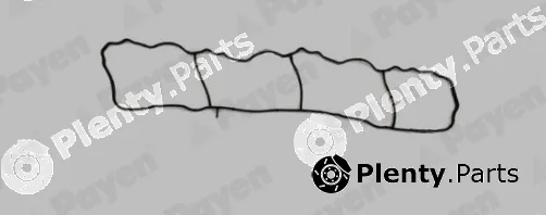 Payen JD6179 — Gasket, intake manifold