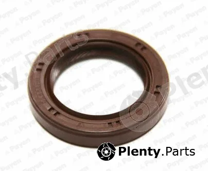 Payen NA5226 — Shaft Seal, crankshaft
