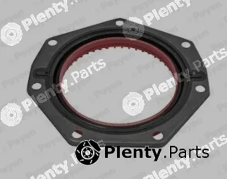 Payen NF883 — Shaft Seal, crankshaft