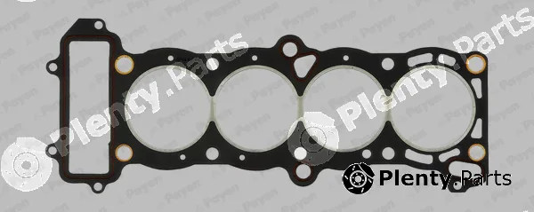 Payen BS610 — Gasket, cylinder head