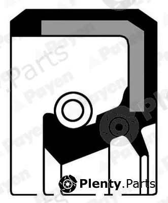 Payen NB690 — Shaft Seal, crankshaft