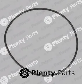 Payen KA845 — Gasket, water pump