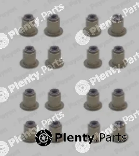 Payen HR5122 — Seal Set, valve stem