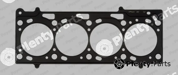 Payen AC5280 — Gasket, cylinder head