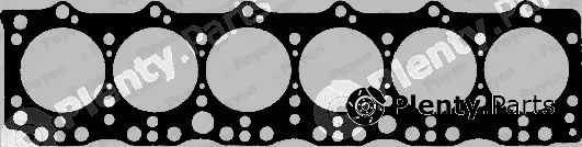 Payen BR550 — Gasket, cylinder head