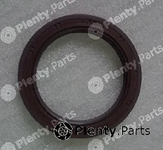 Payen NA5351 — Shaft Seal, crankshaft