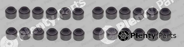 Payen HR5130 — Seal Set, valve stem