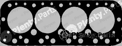 Payen AF460 — Gasket, cylinder head