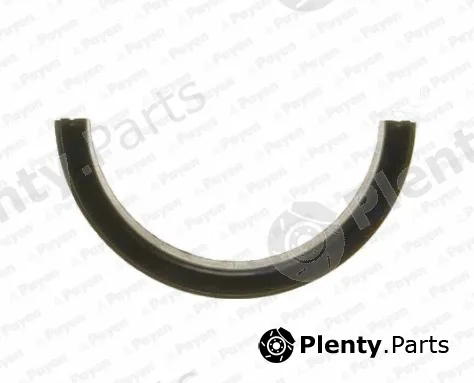 Payen LV501 — Shaft Seal, crankshaft