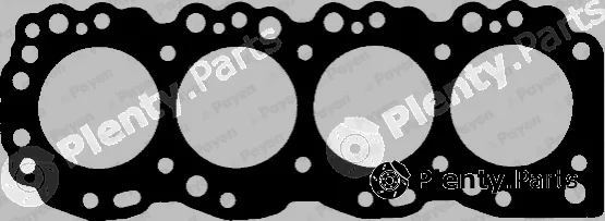 Payen BJ500 — Gasket, cylinder head