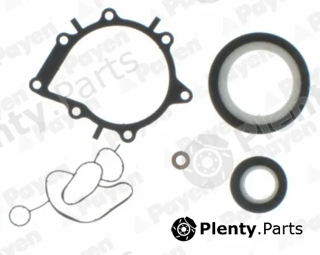 Payen EH6520 — Gasket Kit, crankcase