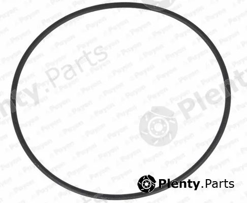 Payen LA5257 — O-Ring, cylinder sleeve