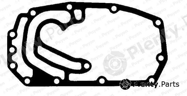 Payen JR580 — Gasket, timing case