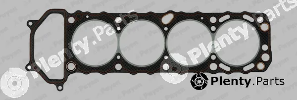 Payen BV310 — Gasket, cylinder head