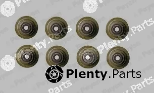 Payen HR789 — Seal Set, valve stem