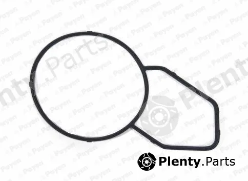 Payen KK5744 — Gasket, thermostat housing