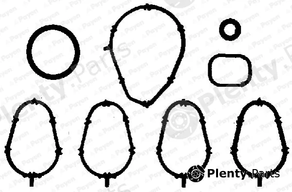 Payen JA5010 — Gasket Set, intake manifold