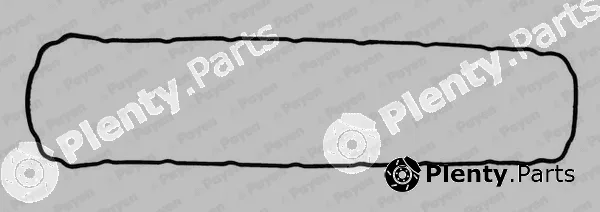 Payen JH5195 — Gasket, oil sump