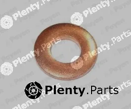 Payen KG5349 — Heat Shield, injection system
