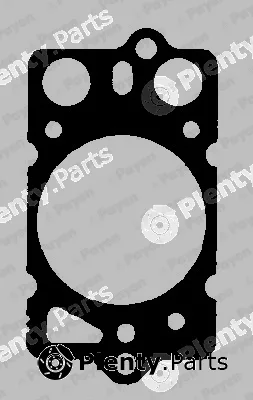 Payen BK580 — Gasket, cylinder head