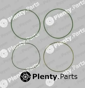 Payen HT018 — O-Ring Set, cylinder sleeve
