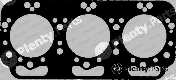 Payen AH010 — Gasket, cylinder head