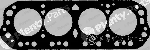 Payen BJ010 — Gasket, cylinder head