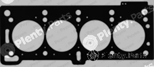 Payen BY030 — Gasket, cylinder head
